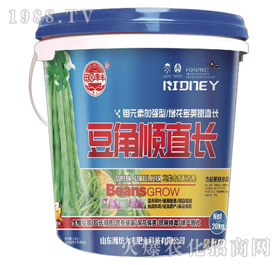 �����ֱ�L-��@���S-���S�ʘI(y��)