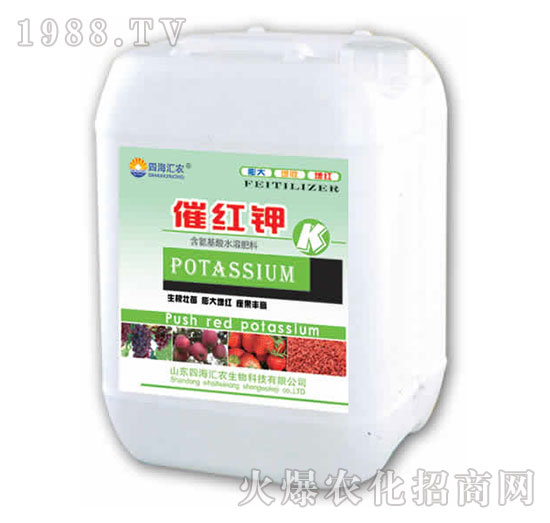 �߼t�-��@���S-���S�ʘI(y��)