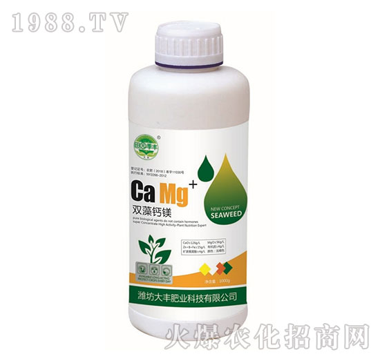 �p���}�V-��@���S-���S�ʘI(y��)