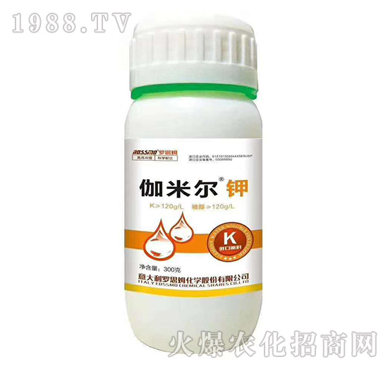 伽米爾鉀-羅思姆-木禾佳寶