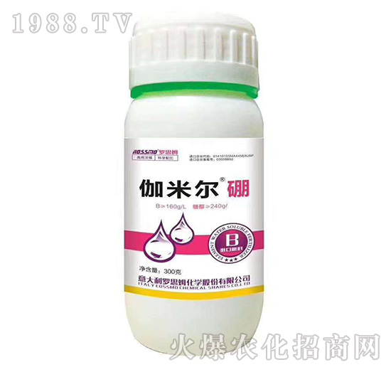 伽米爾硼-羅思姆-木禾佳寶