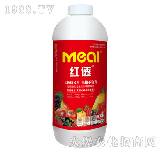 �t͸-������