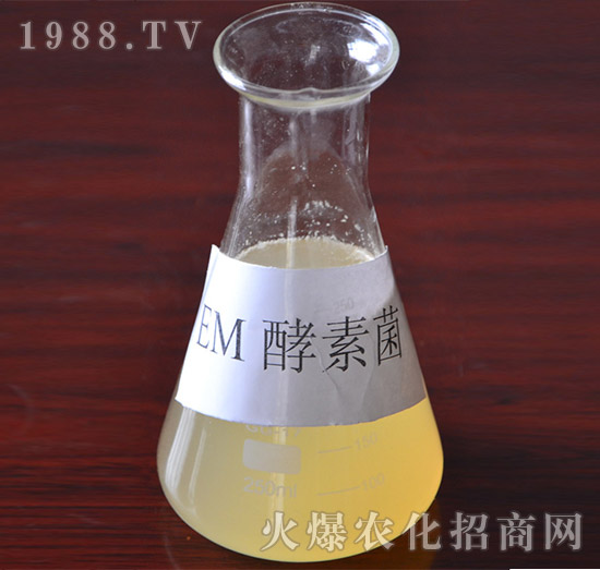 EM���ؾ�-�VԪ����