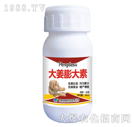 �������-���䌍(sh��)�I(y��)