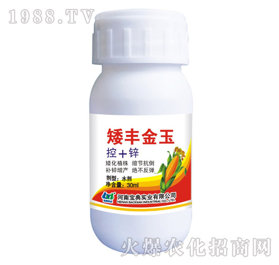 ���S����-���䌍(sh��)�I(y��)