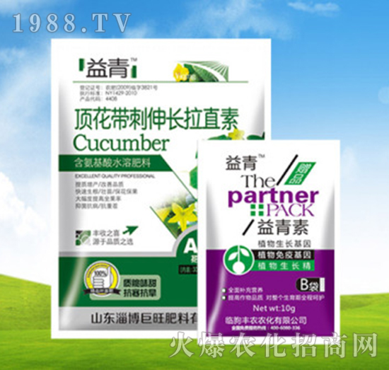頂花帶刺伸長拉直素+益青素-豐農(nóng)農(nóng)化