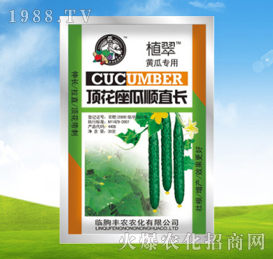 頂花座瓜順直長-植翠-豐農(nóng)農(nóng)化