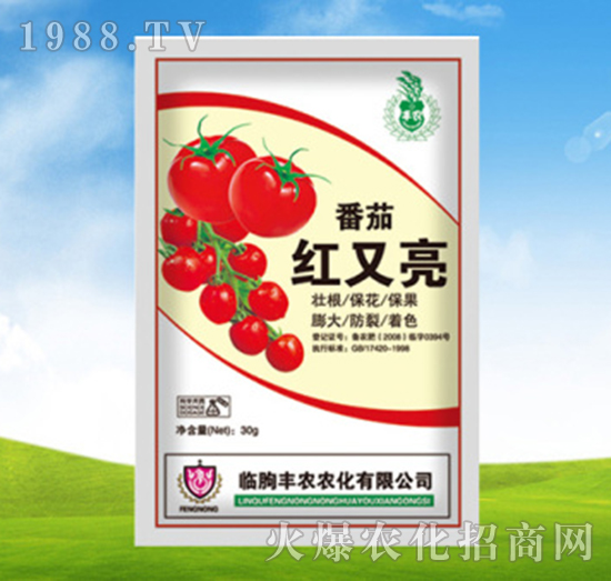 ���Ѽt����-�S�r�r��