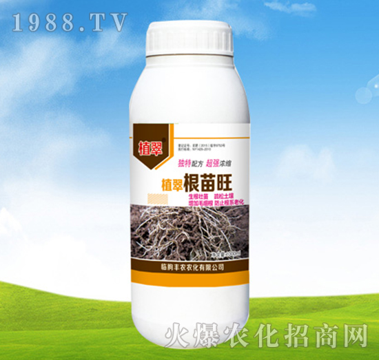 ������-ֲ��-�S�r�r��