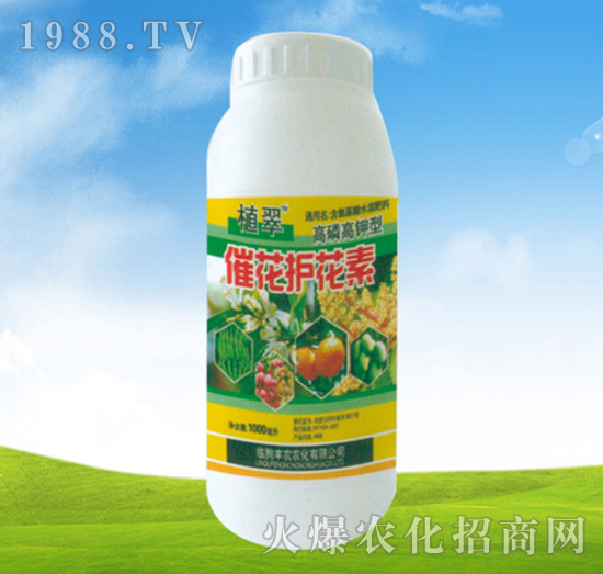 催花護花素-植翠-豐農(nóng)農(nóng)化