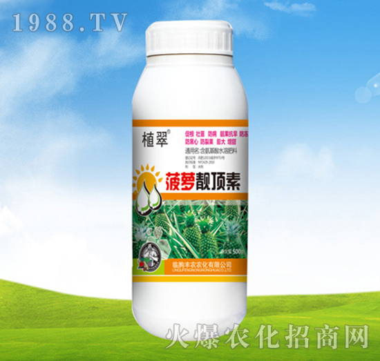 菠蘿靚頂素-植翠-豐農(nóng)農(nóng)化