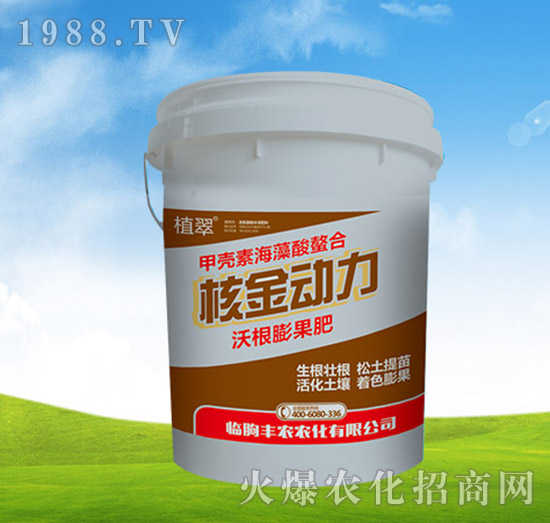 沃根膨果肥-核金動力-豐農(nóng)農(nóng)化