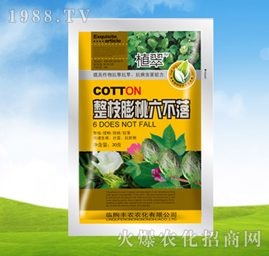 整枝膨桃六不落-植翠-豐農(nóng)農(nóng)化