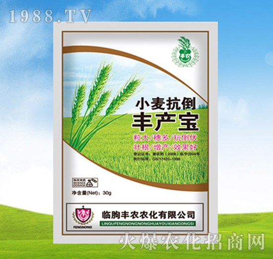 小麥抗倒豐產(chǎn)寶-豐農(nóng)農(nóng)化