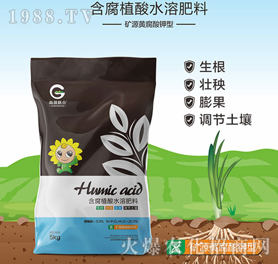 �VԴ�S�������-����ֲ��ˮ�ܷ���-����(li��n)��