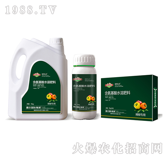 辣椒專(zhuān)用含氨基酸水溶肥料-霸爾綠博