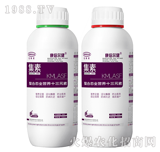 ���ϑB(t��i)ȫ�I(y��ng)�B(y��ng)ʮ��Ԫ�أ�ƿ��-����-��������-��ķ�R