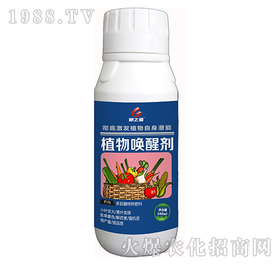 植物喚醒劑-根之道