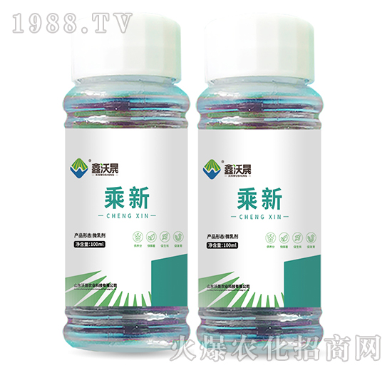 ����-������