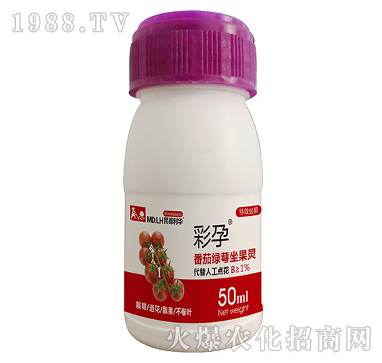 番茄綠萼座果靈-彩孕-民德利華