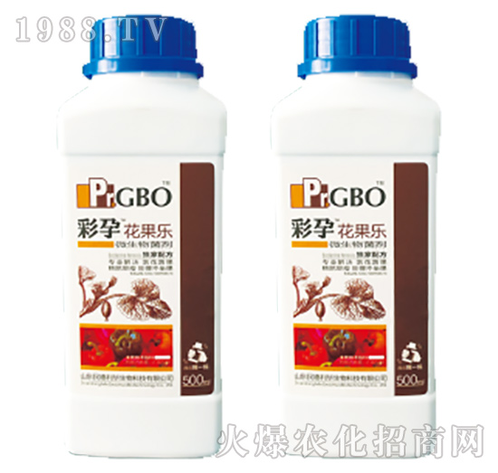 辣椒座果沖施型微生物菌劑-花果樂-彩孕-民德利華