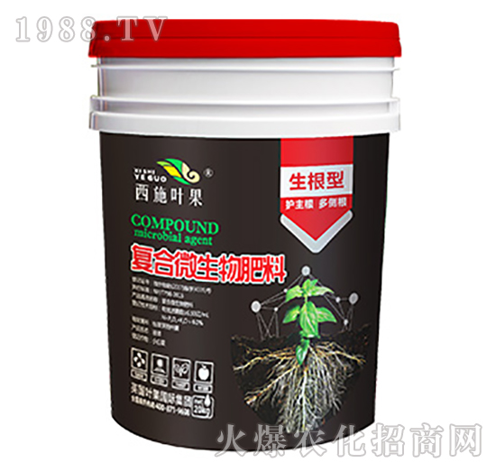 �����o����-�ͺ�΢�������-�~������