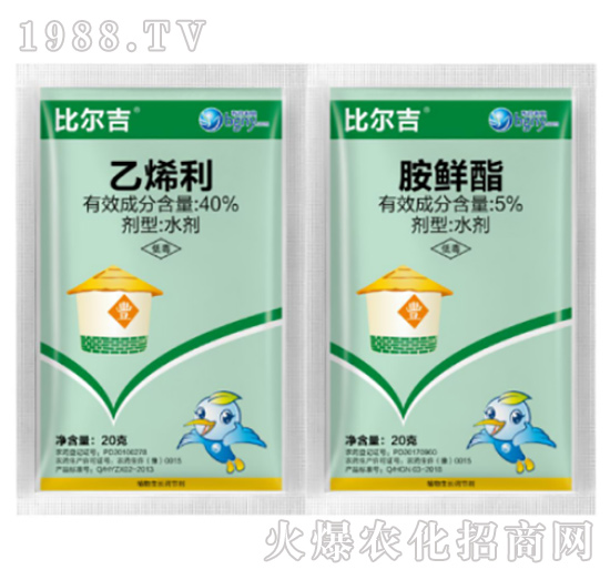 ������ÿ������a�{��(ji��)��-�Ƞ���-��������