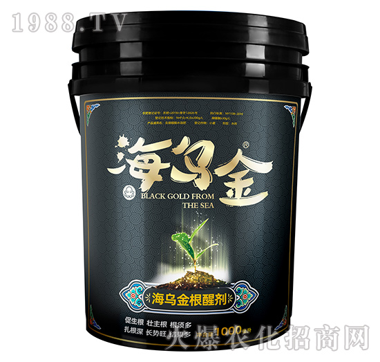 ��������ф�-������-��������