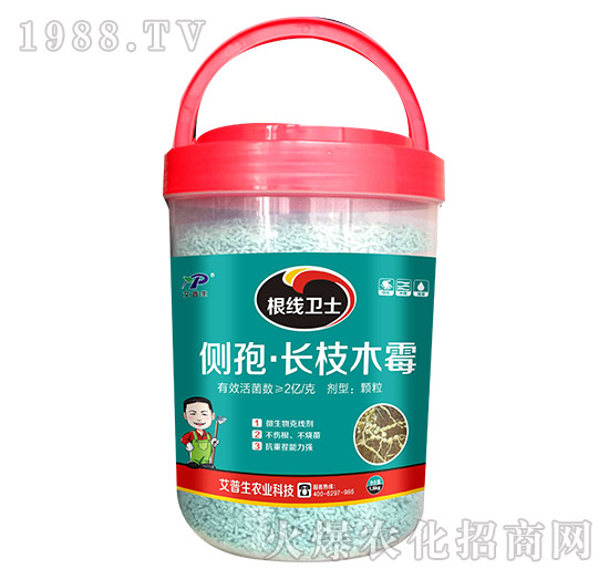 根線衛(wèi)士-艾普生