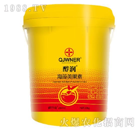 ����(r��n)������������-�Z����