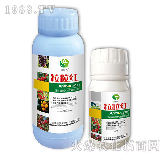 粒粒紅-益植優(yōu)