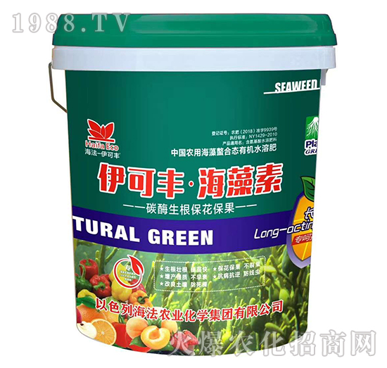 ̼ø������������-�����S��������-����