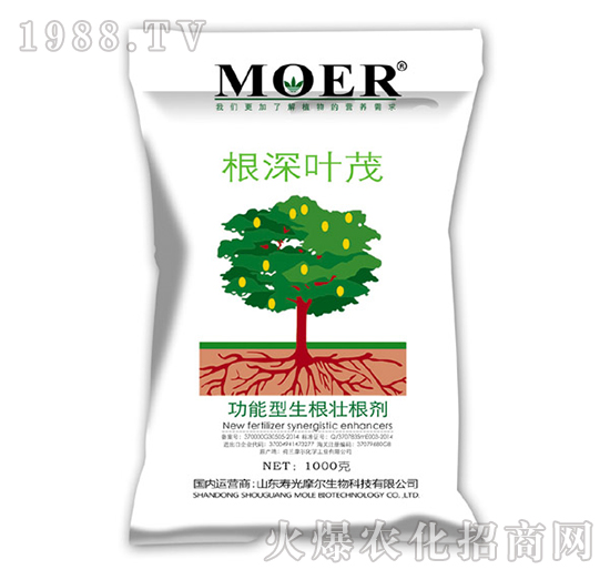 �����������Ѹ���-�����~ï-Ħ������