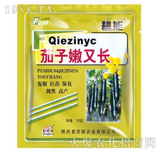 茄子嫩又長(zhǎng)-碧能-普思頓農(nóng)業(yè)