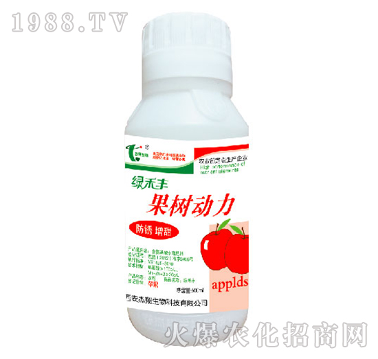 �����(d��ng)��-�G���S-��������