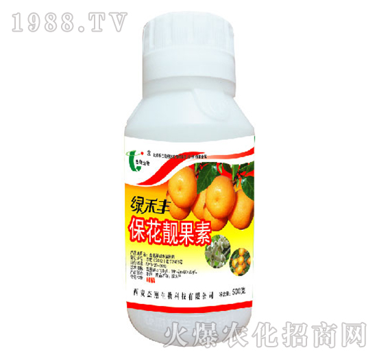 �����n����-�G���S-��������