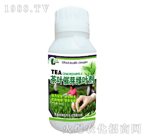 ���~��ѿ�G�~��-��������