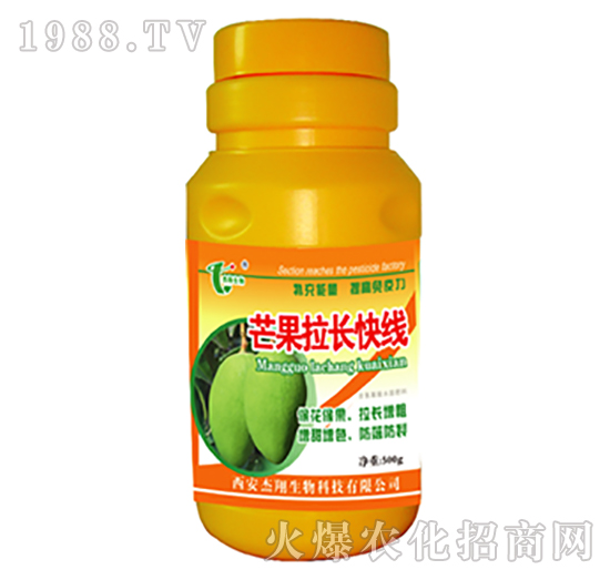 â�����L�쾀-��������