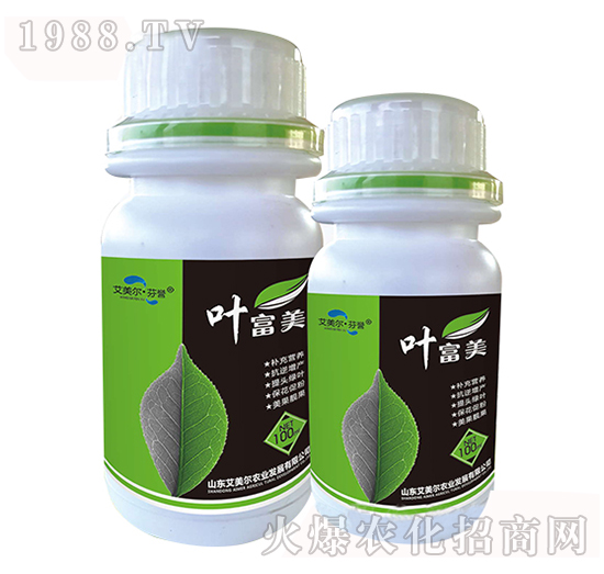 ȫ�I�B(y��ng)�~���-�~����-�����������u(y��)