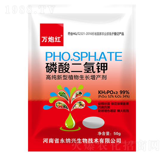 ��������-�f(w��n)�ڼt-���{�d