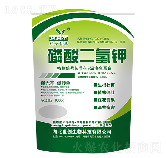 1000g��������-���_����-����(chu��ng)����