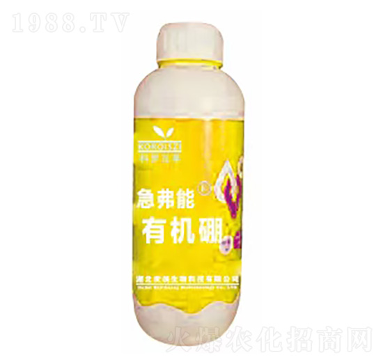 �ЙC��-������-����(chu��ng)����