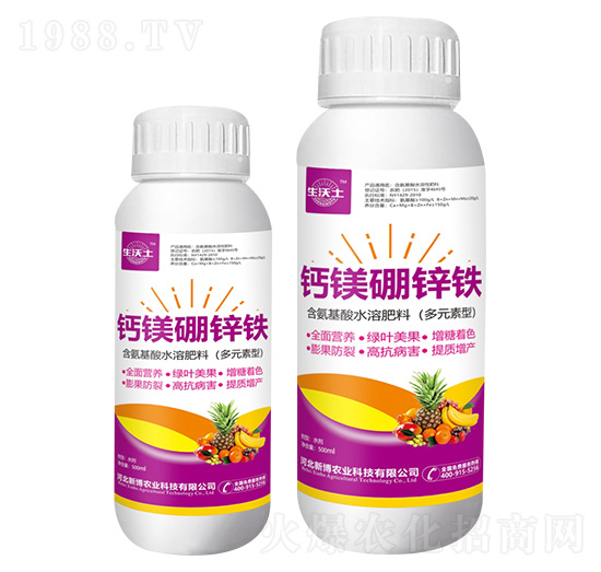 �}�V���\�F-������-�²��r(n��ng)�I(y��)