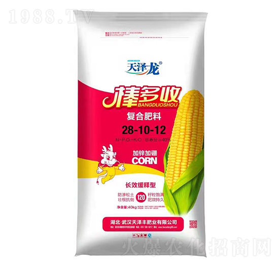 �LЧ����͏ͺϷ���28-10-12-������-�����