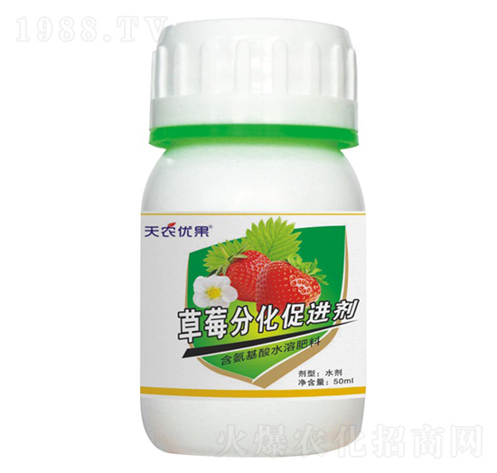 ��ݮ�ֻ����M��-���r(n��ng)��(y��u)��-���r(n��ng)����