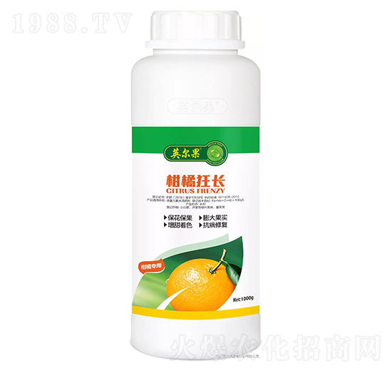 ���ٿ��L-Ӣ����