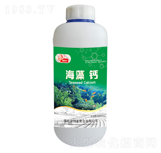 �����}-�r�