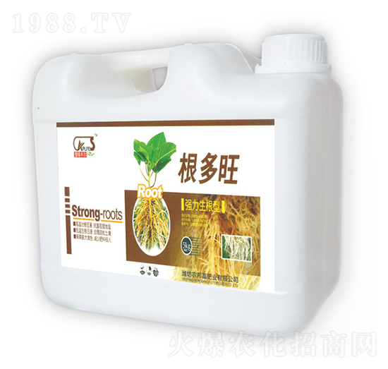 ����������-������-�r(n��ng)�