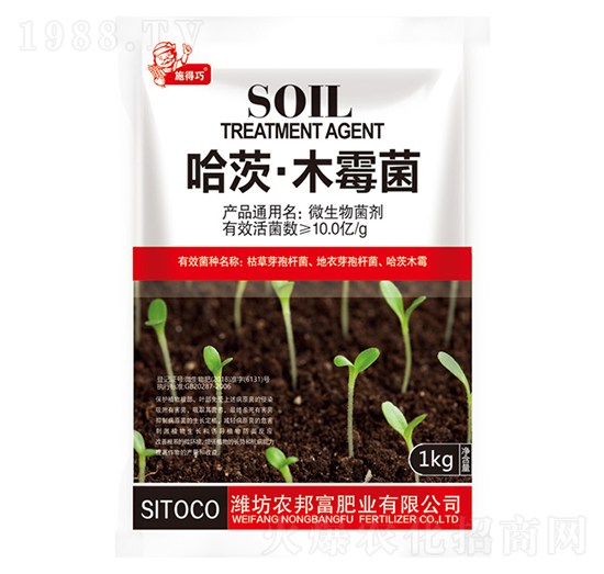 ���ġ�ľù��-�r�