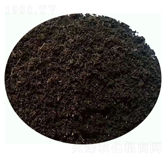 �l(f��)�ͼ���S�ЙC(j��)����-���|�ʘI(y��)